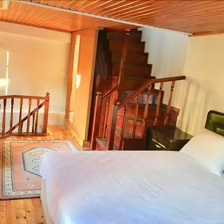 Efsali Kaleici Hotel 2*